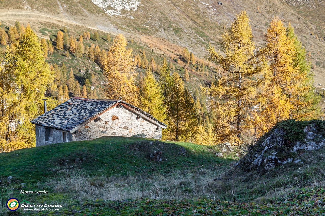 Due giorni tra i colori Orobici-63.JPG